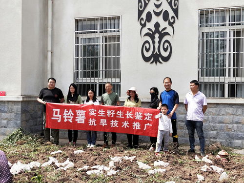 科技特派員服務團深入昭覺布拖，助力馬鈴薯產業振興